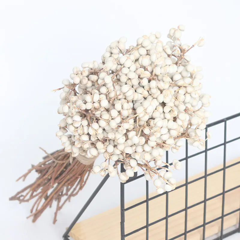 Dried White Fruit Flowers 100g for Home Decor DIY