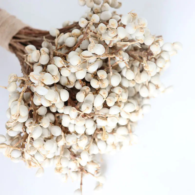 Dried White Fruit Flowers 100g for Home Decor DIY