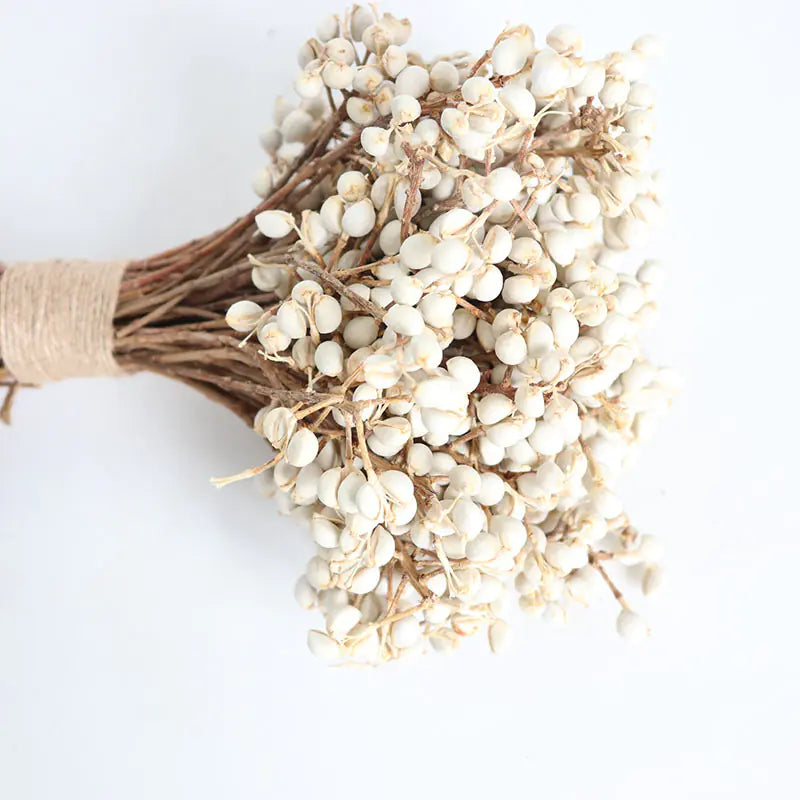 Dried White Fruit Flowers 100g for Home Decor DIY