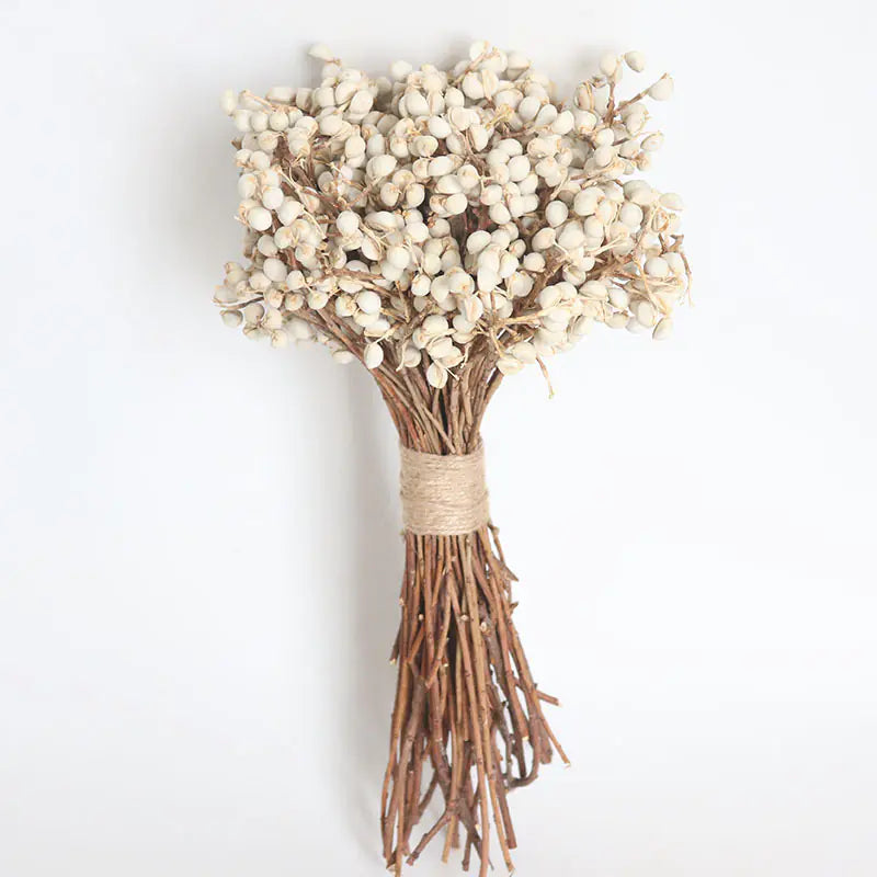 Dried White Fruit Flowers 100g for Home Decor DIY